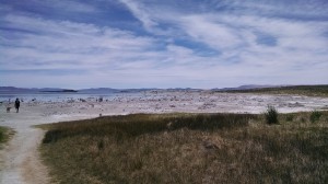 Monolake