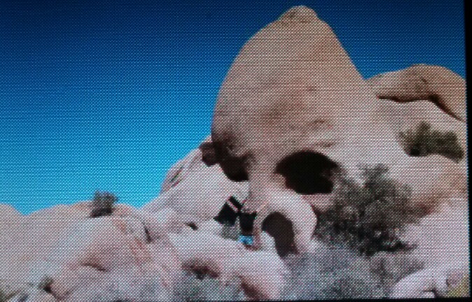 Skull