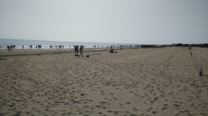 Der ewige Sandstrand von Maspalomas